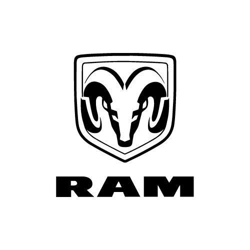 RAM.jpg